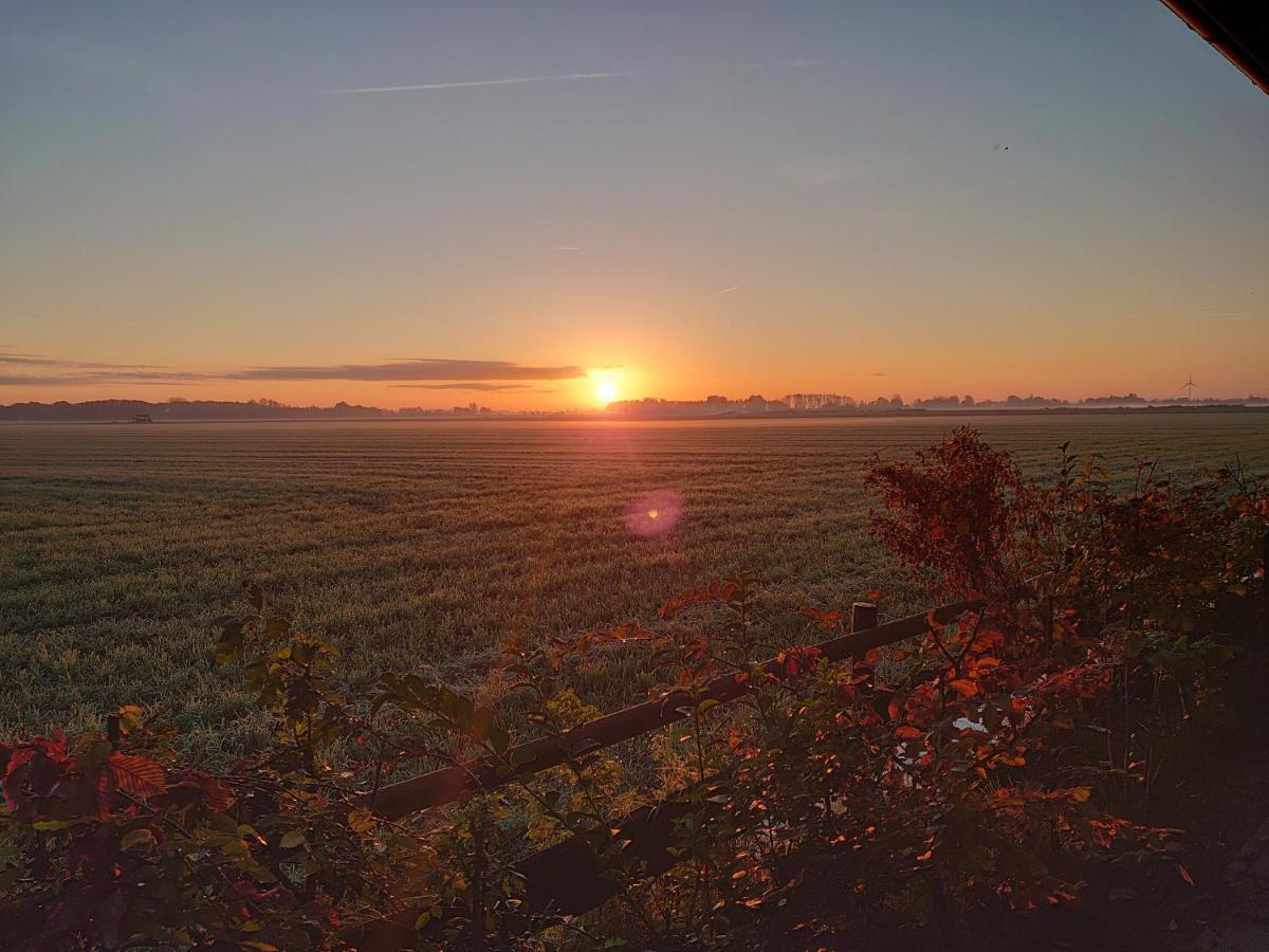 B&B Zusenzomer Oostwoud Dış mekan fotoğraf